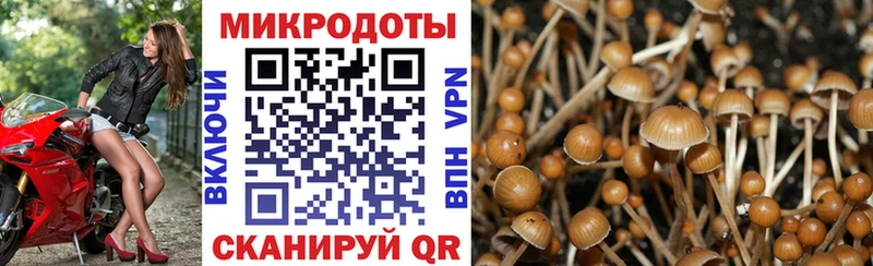 Галлюциногенные грибы мухоморы  Старая Русса 