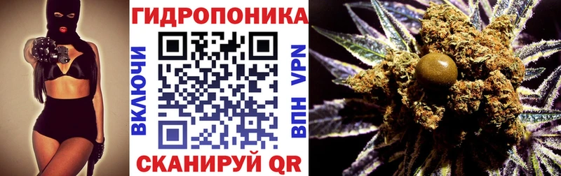 Марихуана индика  Старая Русса 
